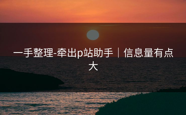一手整理-牵出p站助手｜信息量有点大