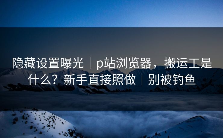 隐藏设置曝光｜p站浏览器，搬运工是什么？新手直接照做｜别被钓鱼