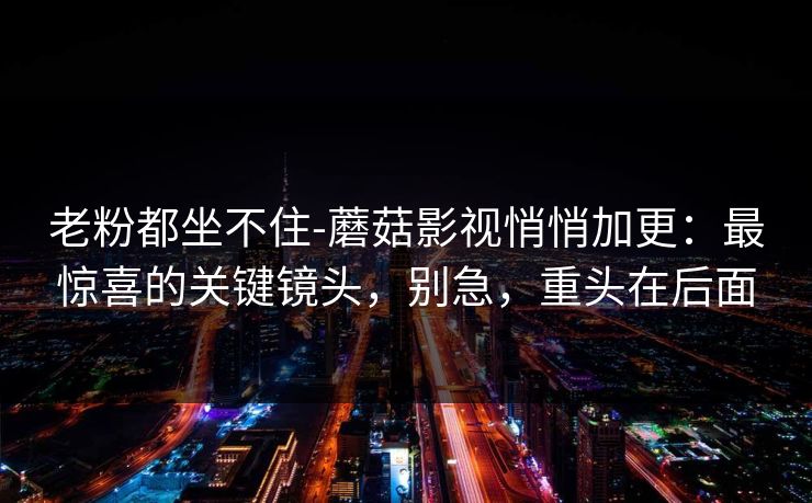 老粉都坐不住-蘑菇影视悄悄加更：最惊喜的关键镜头，别急，重头在后面