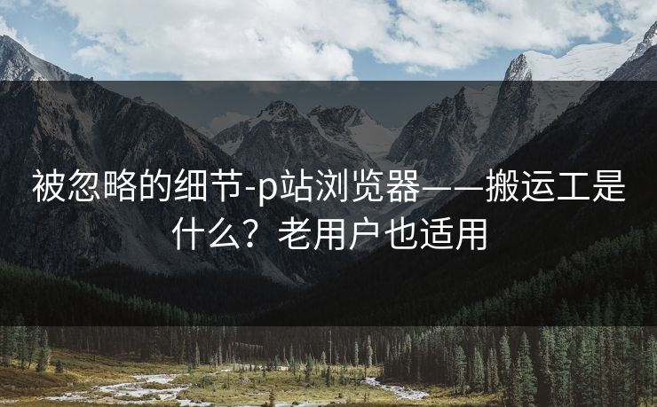 被忽略的细节-p站浏览器——搬运工是什么？老用户也适用