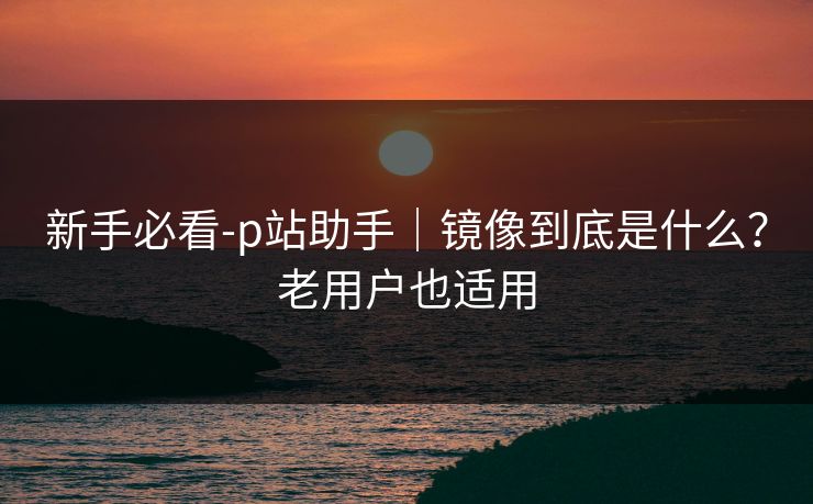 新手必看-p站助手｜镜像到底是什么？老用户也适用