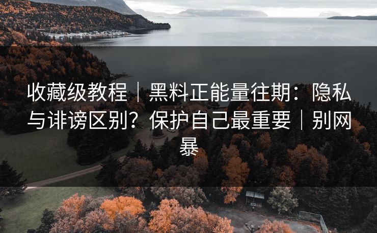 收藏级教程｜黑料正能量往期：隐私与诽谤区别？保护自己最重要｜别网暴