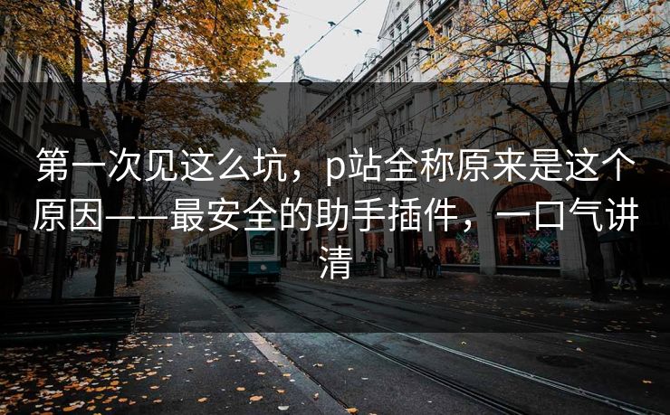 第一次见这么坑，p站全称原来是这个原因——最安全的助手插件，一口气讲清