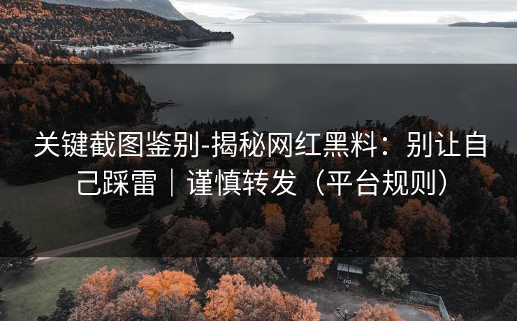 关键截图鉴别-揭秘网红黑料：别让自己踩雷｜谨慎转发（平台规则）